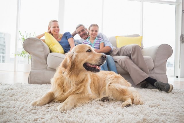 family-on-couch-with-dog